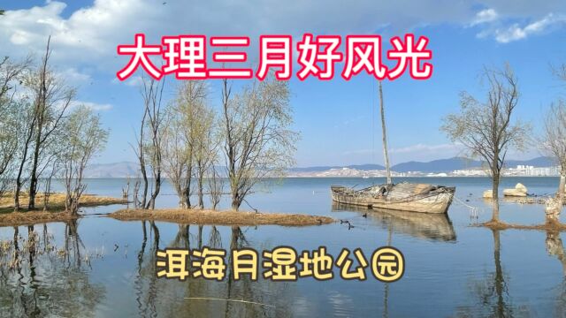 洱海月湿地公园