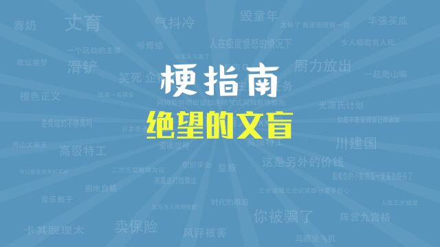 【梗指南】绝望的文盲是什么梗