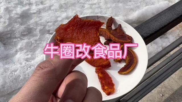 牛圈改食品厂,这可行么?#返乡创业青年 #源头工厂