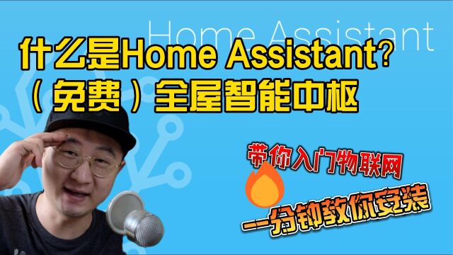 什么是Home Assistant全屋智能中枢?带你入门物联网,一分钟安装