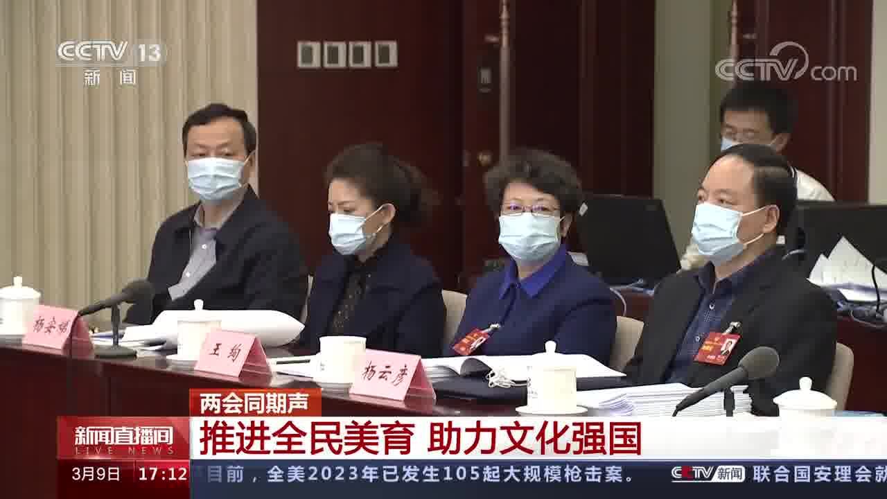 两会同期声 推进全民美育 助力文化强国