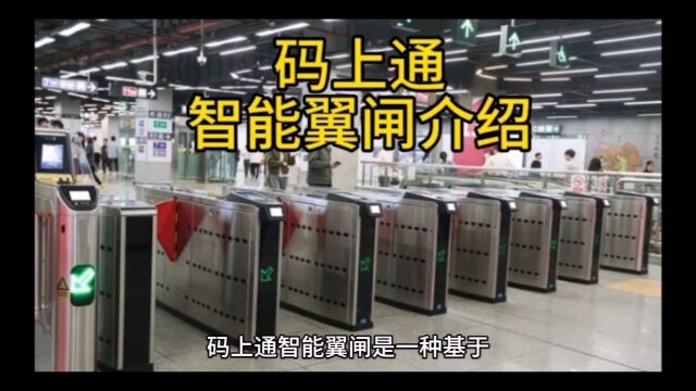 码上通智能翼闸介绍