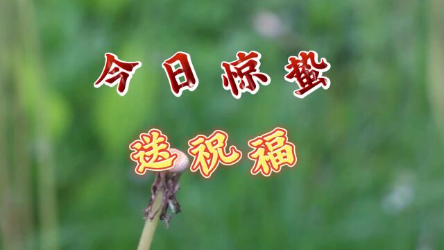 惊蛰节气最美的祝福送给你