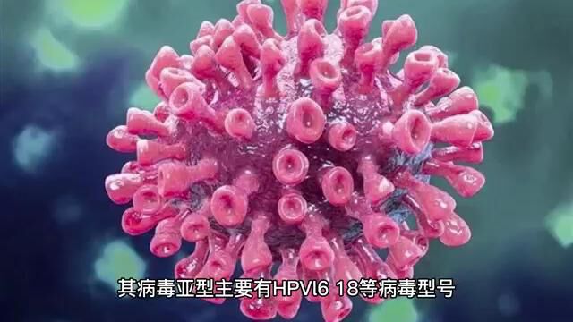 沈阳皇姑国防医院带你正确认识HPV究竟是什么