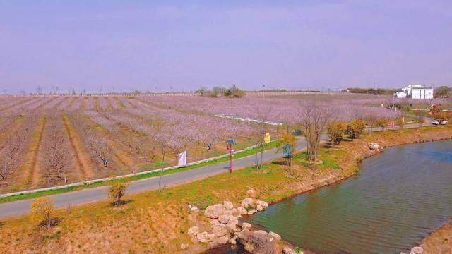 人均100多就可以住进桃花园里,句容茅山脚下这家清境田园度假村真的可以来体验一下#你一句春不晚我就到了真江南