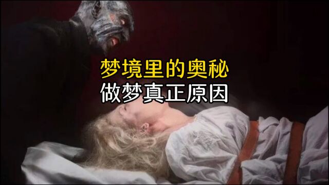 梦境里面竟然有这么多奥秘,揭秘做梦的真正原因