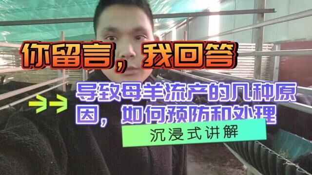 你留言,我回答,浅说一下导致母羊流产的几种原因,如何预防和处理#养殖创业 #养殖技术交流 #黑山羊养殖 #养羊