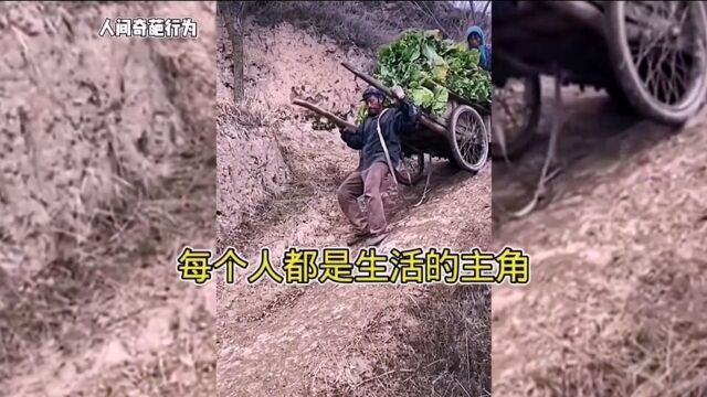 每个人都是生活的主角