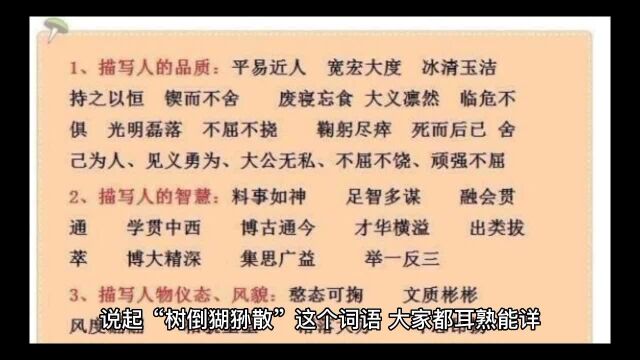 “树倒猢狲散”,是一个贬义词,常常用来比喻坏人倒台帮凶散伙