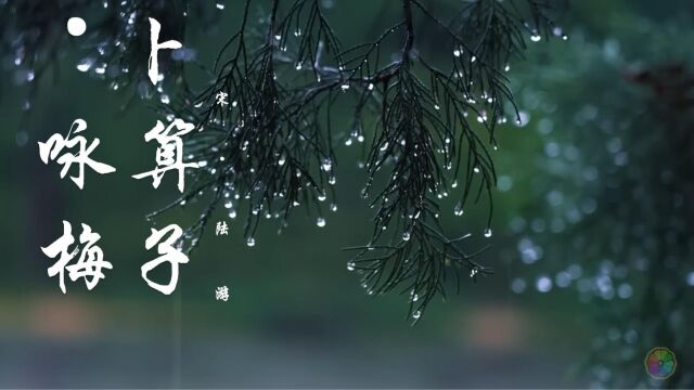 风雨送春归,春雨贵如油,雨声缓解疲劳,手抄《卜算子ⷥ’梅》