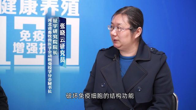 37.家禽常见的免疫抑制病有哪些呢?