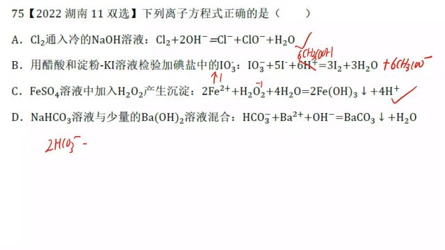 2022湖南高考化学11方程式正误