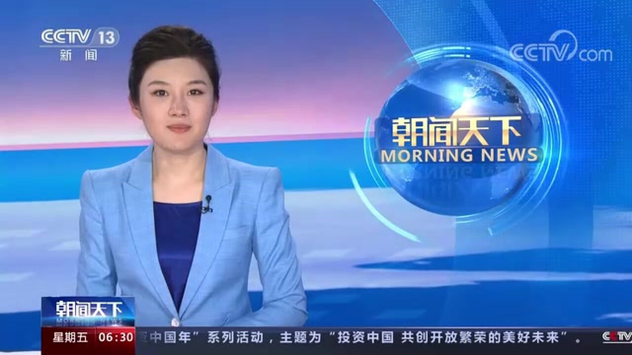 福建福鼎 春茶开采 正是非遗传承时