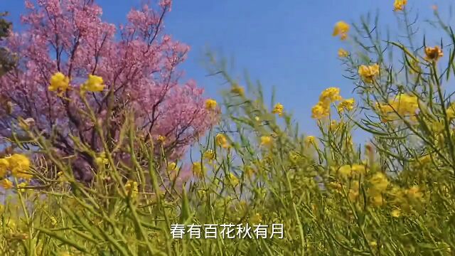 夏有凉风冬有雪. 若无闲事挂心头,便是人间好时节