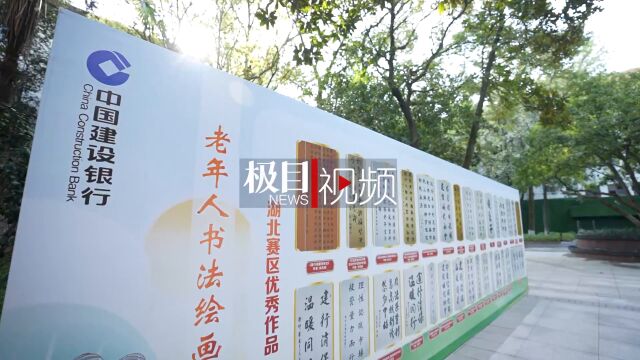 【视频】建行湖北省分行:书法比赛融入金融宣教主题,3•15发布原创《个人信息保护歌》