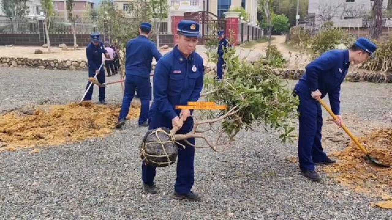 年年植树树成荫,代代造林林成森