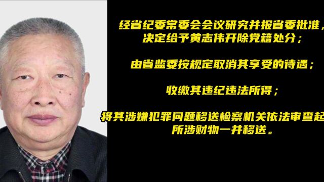 巨额财产来源不明 伊春市人大常委会原副主任黄志伟被开除党籍