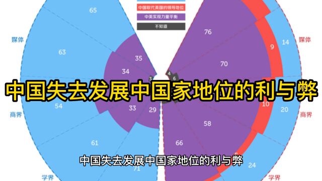 中国失去发展中国家地位的利与弊