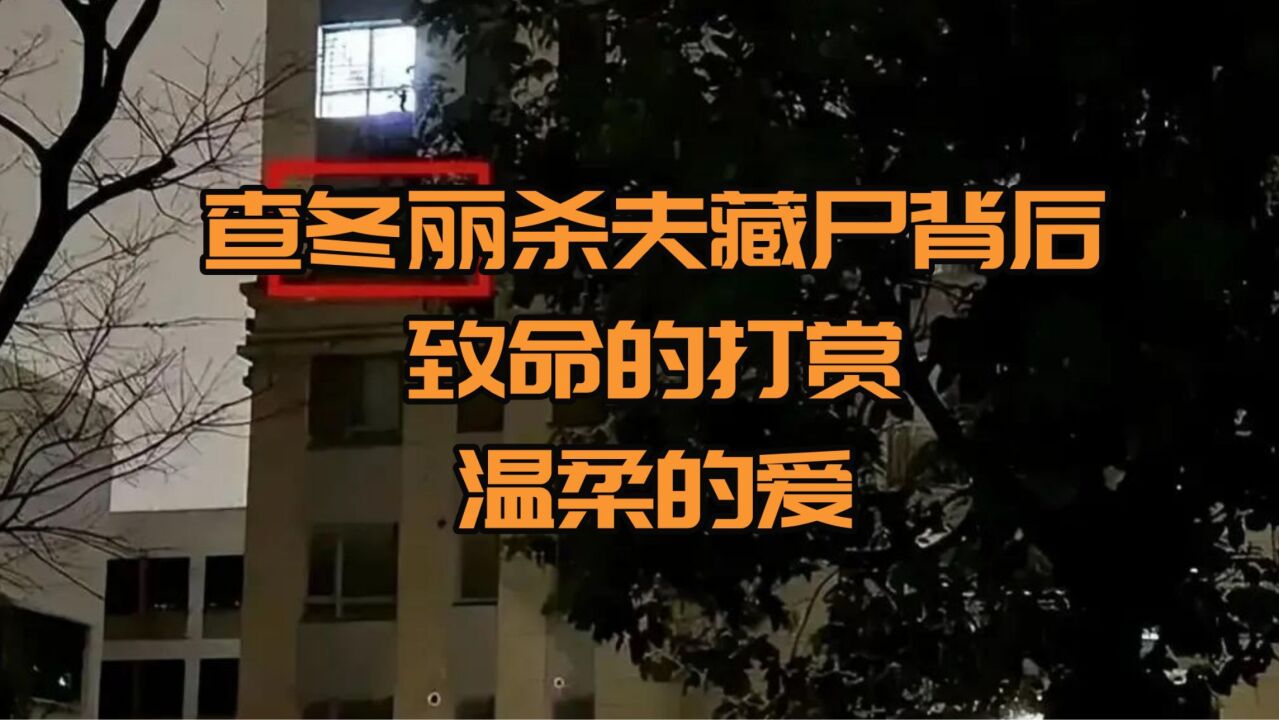 查冬丽杀夫藏尸背后,致命的打赏,温柔的爱