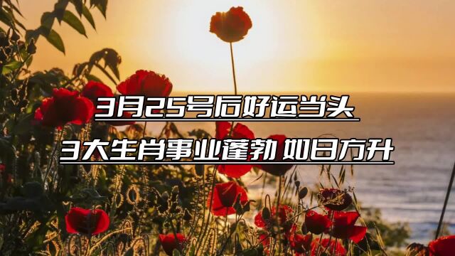 3月25号后好运当头,3大生肖事业蓬勃,如日方升