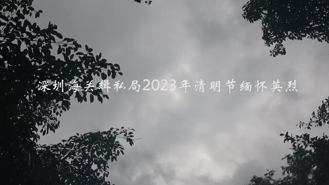 深圳海关缉私局2023年清明节缅怀英烈