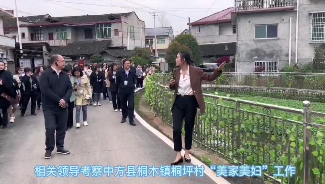 怀化市“美家美妇”行动推进会暨“收纳课堂进家庭”现场教学活动在中方县桐木镇桐坪村举行