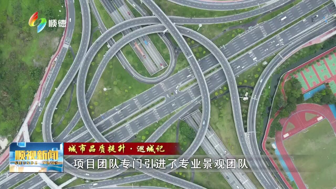 1010顺德:打通“经络” 助力城市加速跑