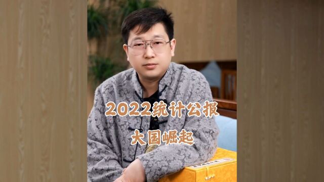 2022统计公报,大国崛起