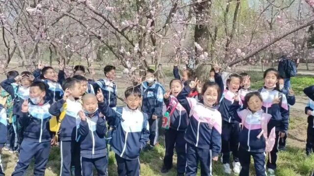 探寻植物奥秘 感知生命之美——天通苑小学东小口学校社会实践研学课程