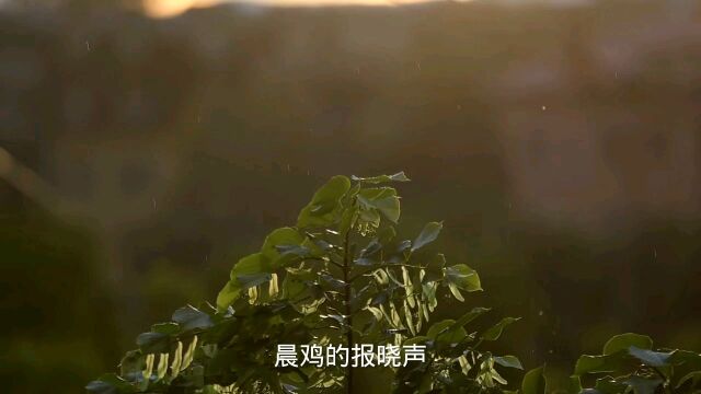 在这个四周寂静的世界里,我仿佛在无之境漫步