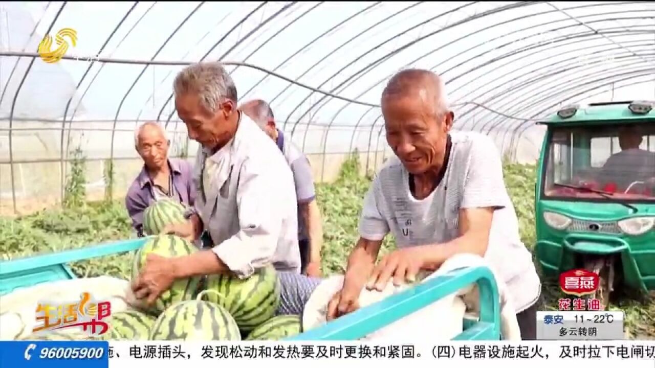 平原推进一村一品建设,谋划“南粮北园”产业格局,助力致富增收