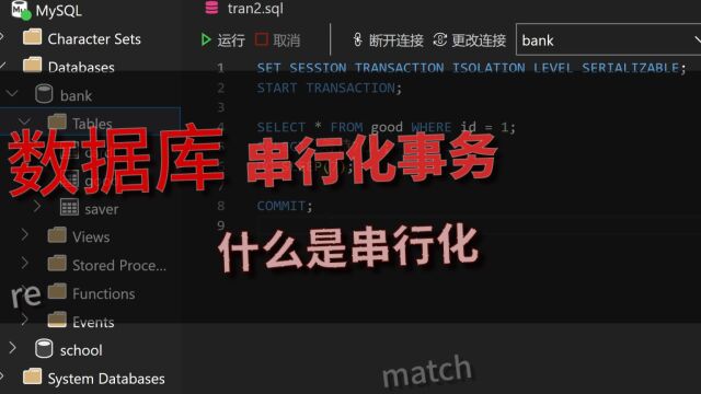 「数据库」进阶教程 串行化事务