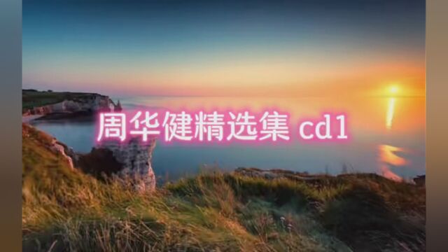 周华健精选歌曲cd1#我为消费者发声 #这里的歌 #无损音乐