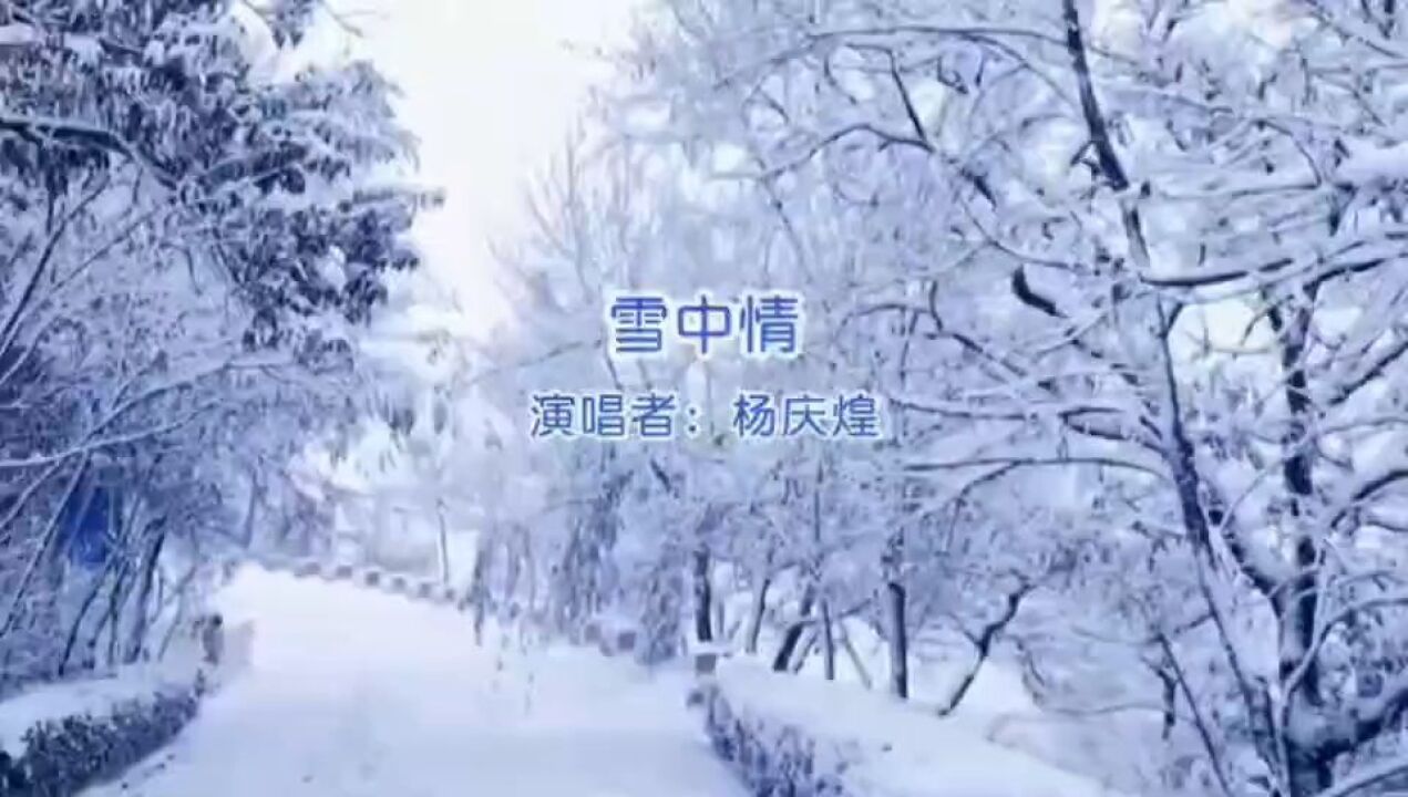 杨庆煌《雪中情》K歌版,缠绵的柔情,满满的回忆