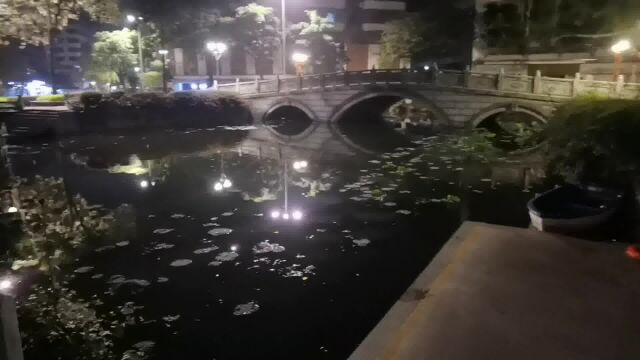 佛山市禅城区祖庙街道保安区通济桥景点夜景