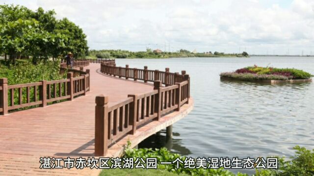 湛江赤坎区滨湖公园:自然美景,城市新宠!