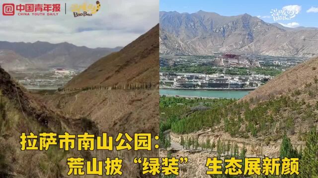 探访拉萨南山公园:荒山披绿装 生态展新颜