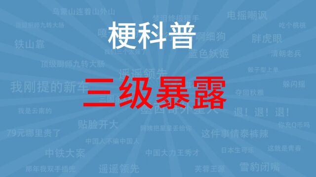 三级暴露是什么梗?【梗科普儿】