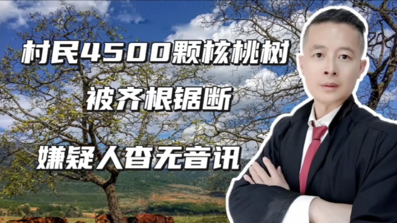 村民4500颗核桃树被毁,至今没有找到嫌疑人,到案后如何判刑