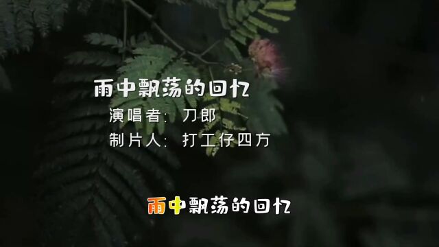 刀郎演唱的经典歌曲