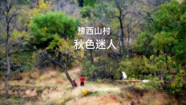 秋天豫西,山村景色迷人,自然原始风貌 #山村美景 #山里人家