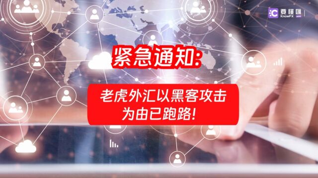 要懂汇:紧急通知:老虎外汇以黑客攻击为由已跑路!