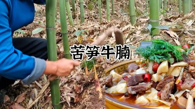 家乡的山水,乐山的味道,苦笋牛腩!