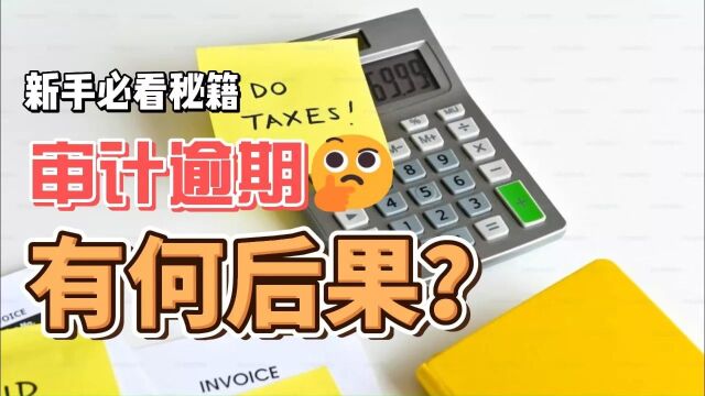 香港公司审计逾期有何后果?