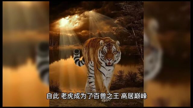 神话故事之老虎