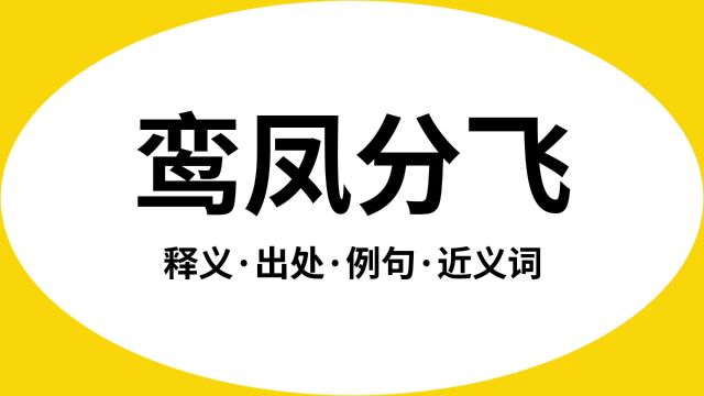 “鸾凤分飞”是什么意思?