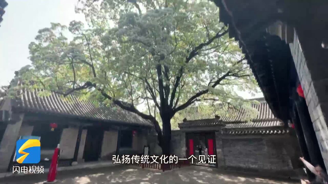 节目预告丨孟府流苏入夏葱茏,孟子故里假期好去处