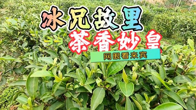 中国著名漫画家廖冰兄故里 茶乡妙皇