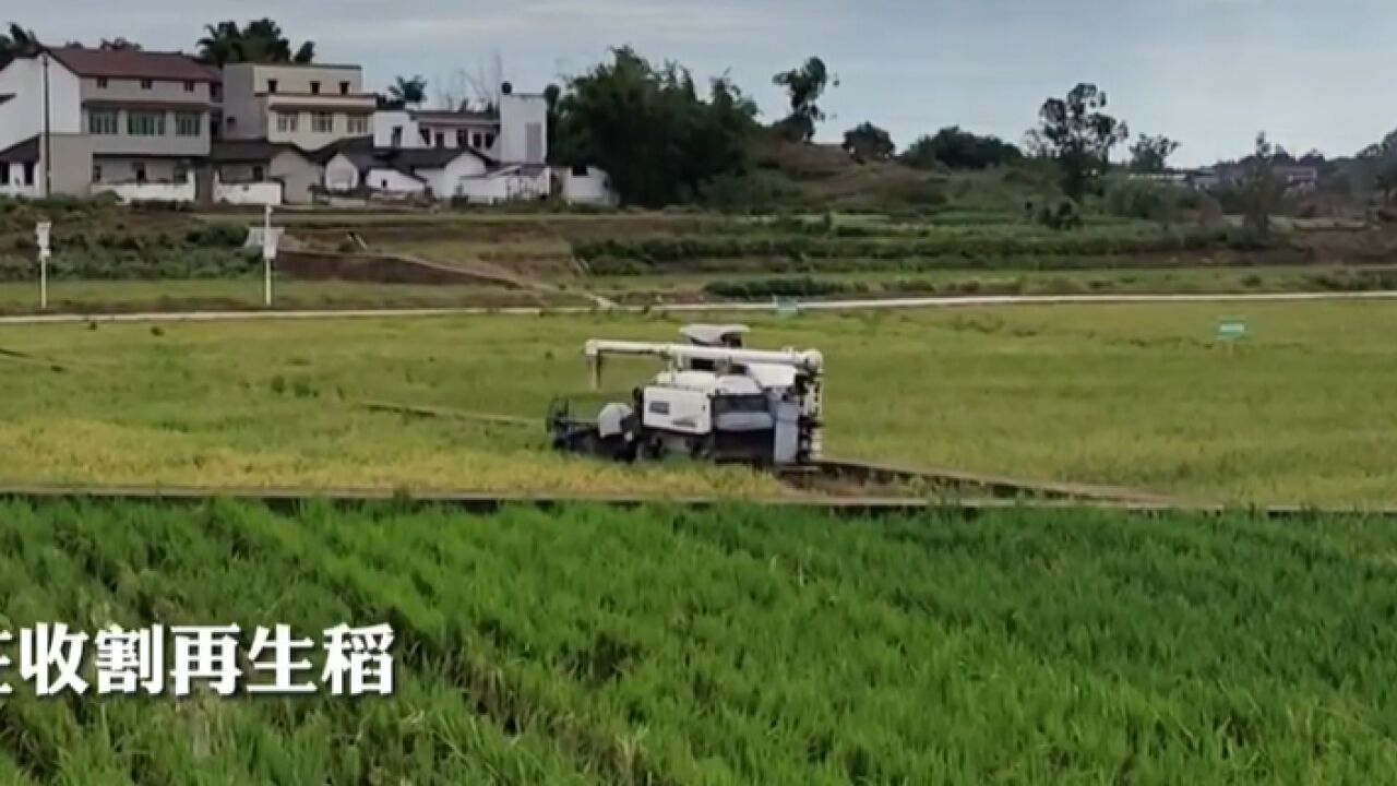 “高质量发展调研行”采访团深入田间地头 见证丰收