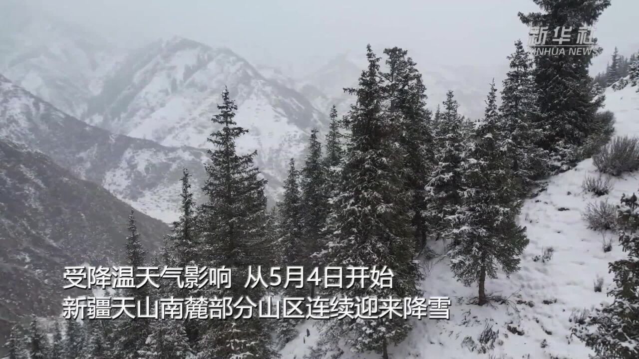 新疆天山南麓迎来降雪